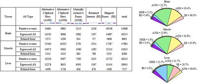 Transcriptome-Wide Analyses Identify Dominant as the Predominantly Non-Conservative Alternative Splicing Inheritance Patterns in F1 Chickens